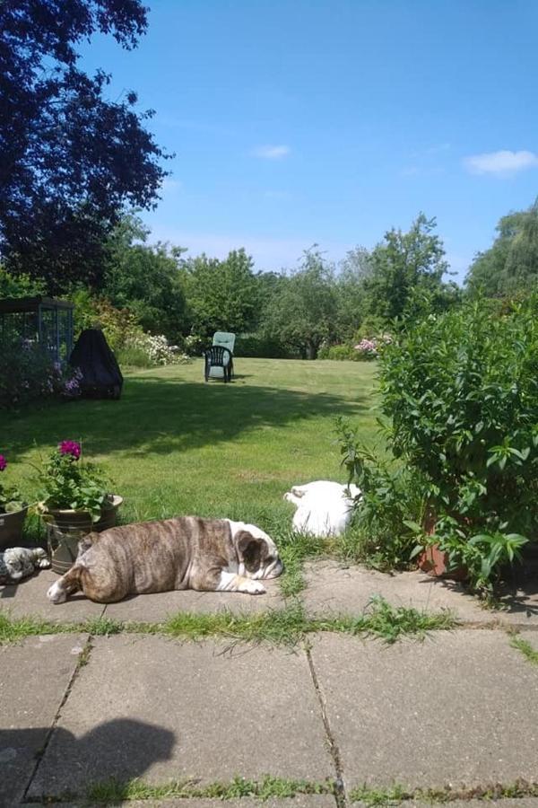 Twenty Bed and Breakfast Skellingthorpe Εξωτερικό φωτογραφία