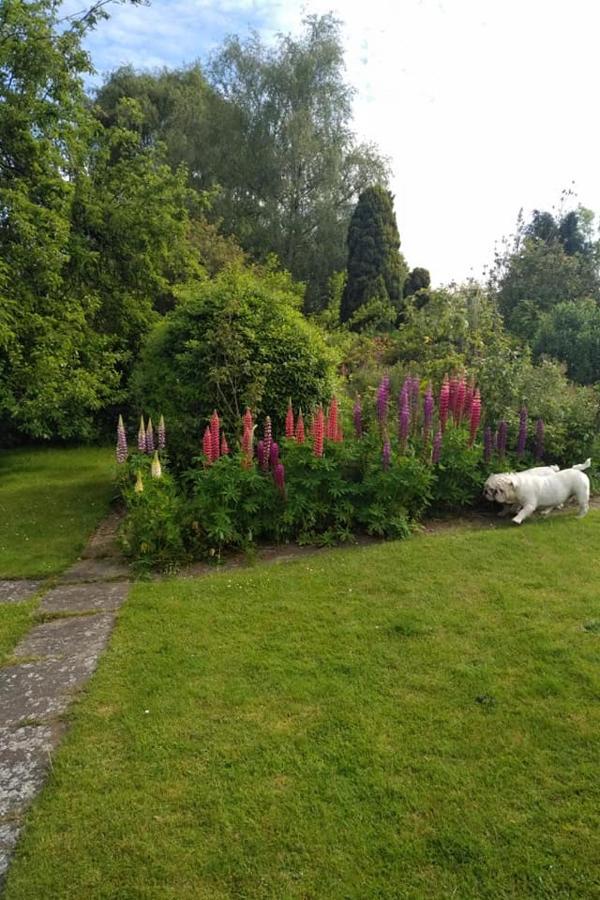 Twenty Bed and Breakfast Skellingthorpe Εξωτερικό φωτογραφία